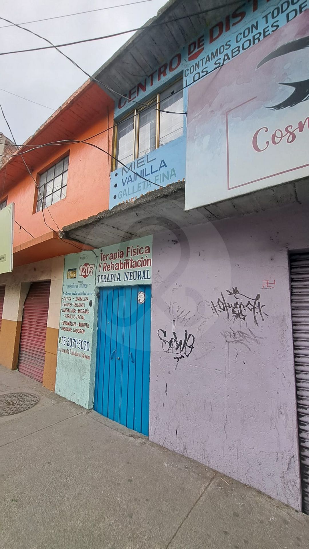 6 de 13