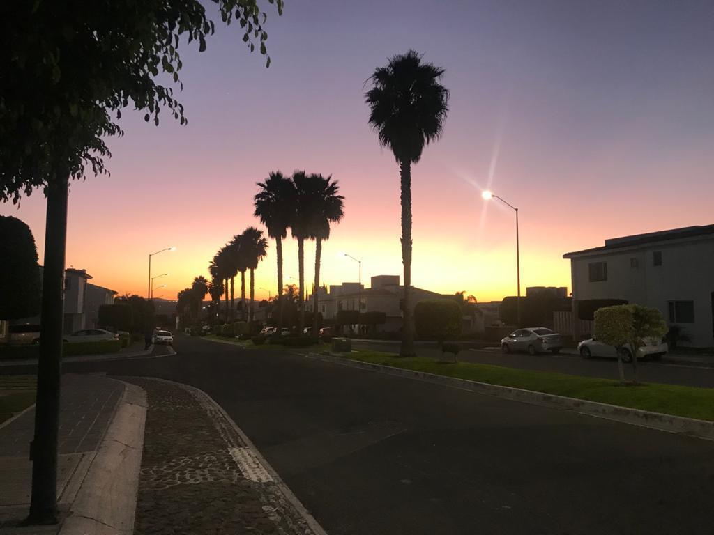 7 de 12