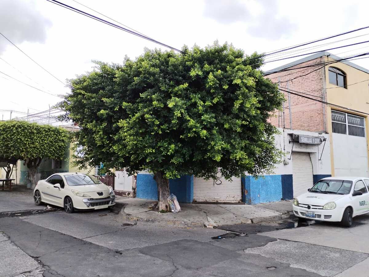 1 de 11