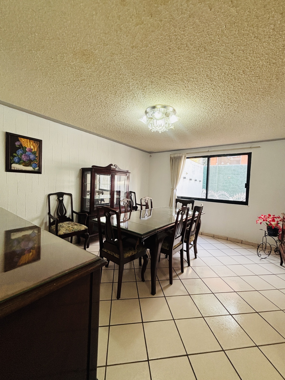 5 de 23: comedor