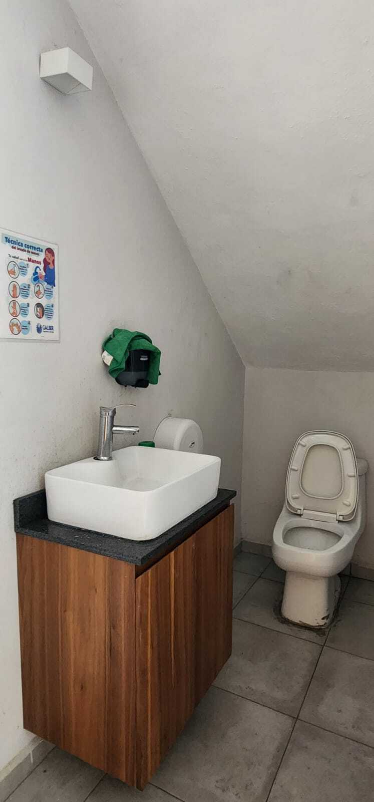 6 de 11