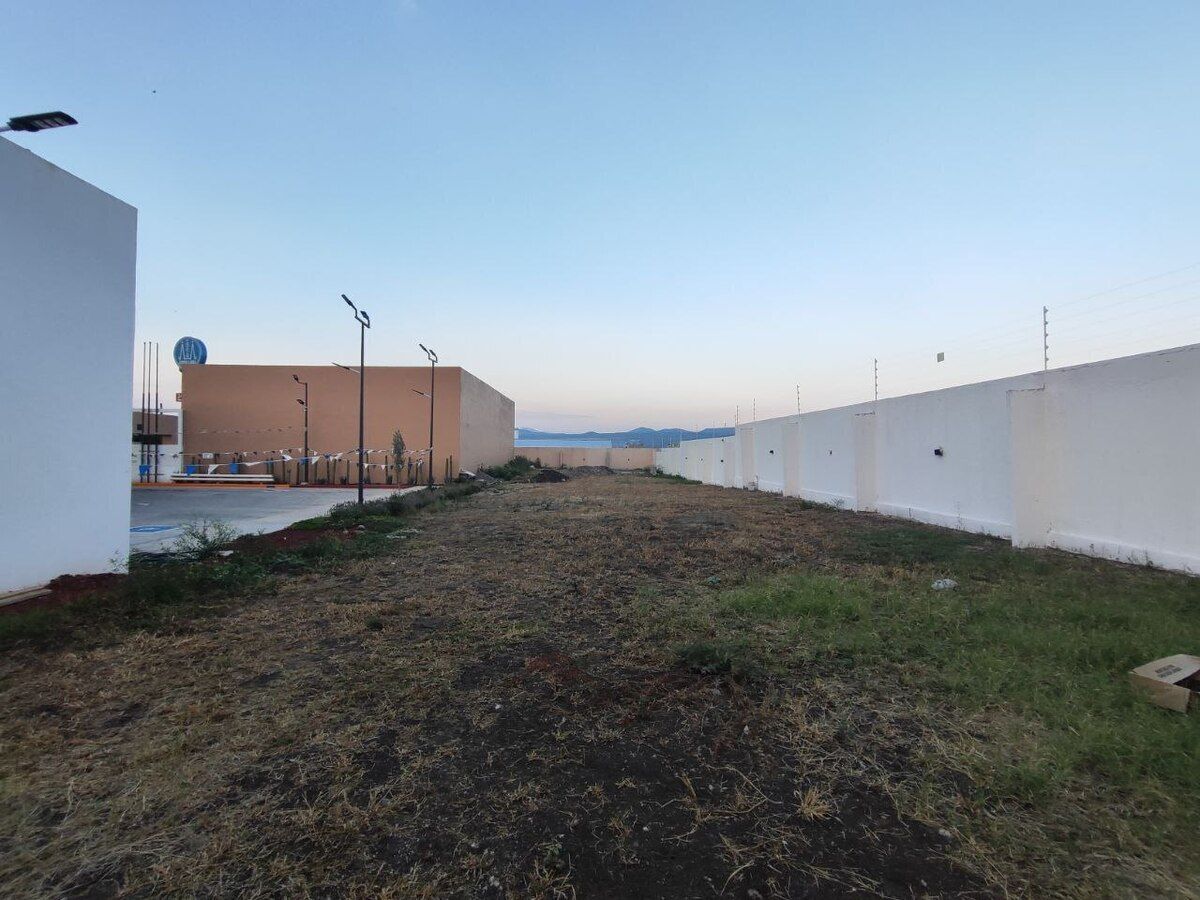 7 de 26