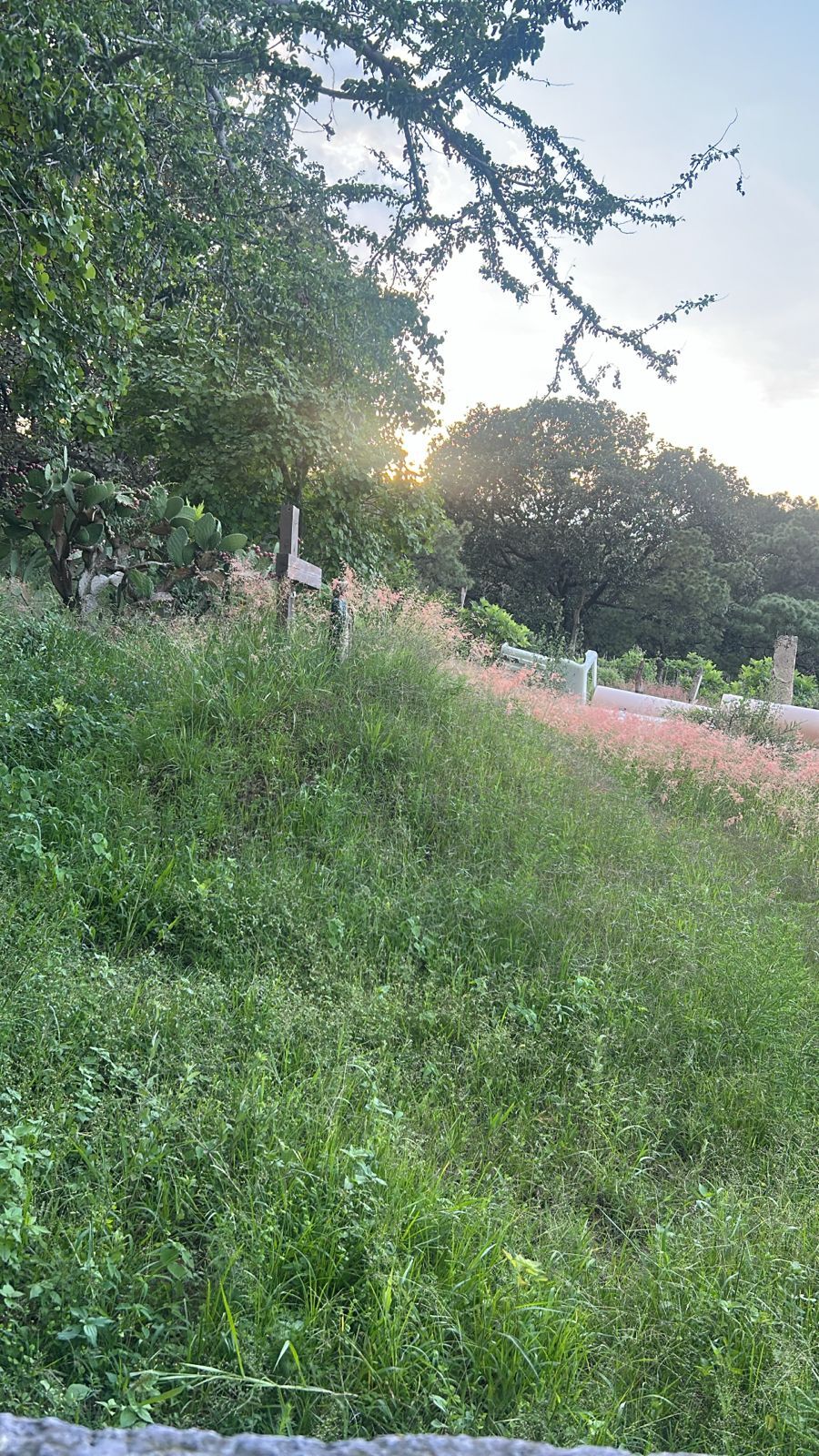 2 de 4