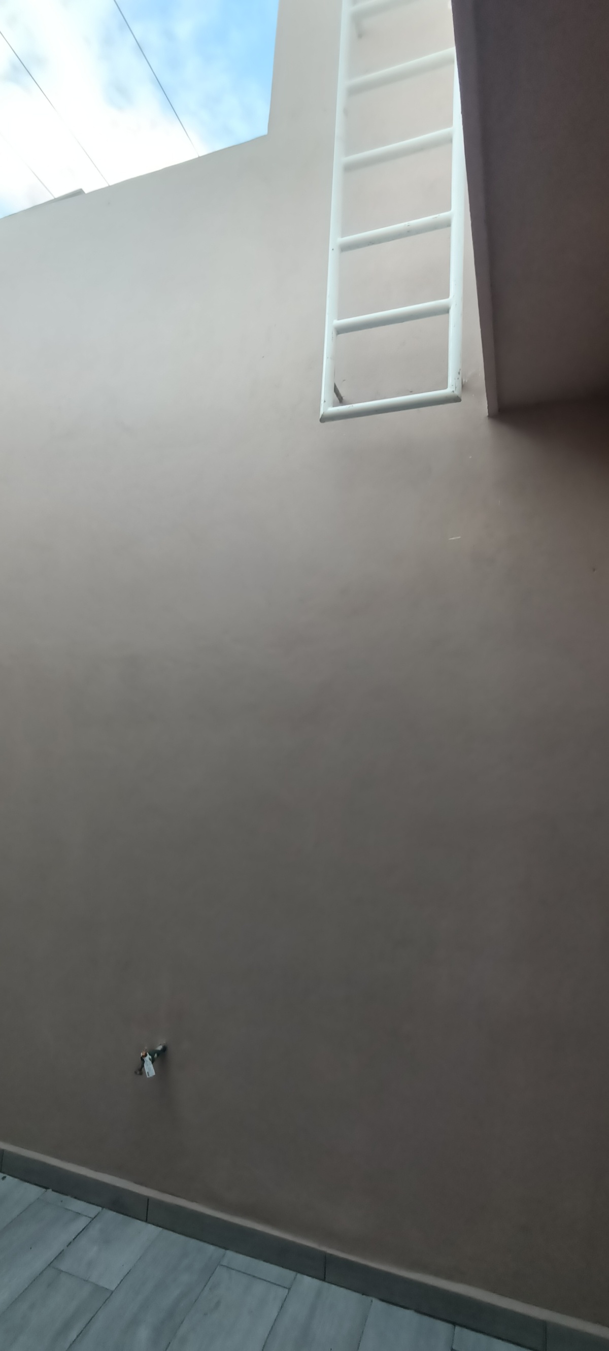 6 de 20
