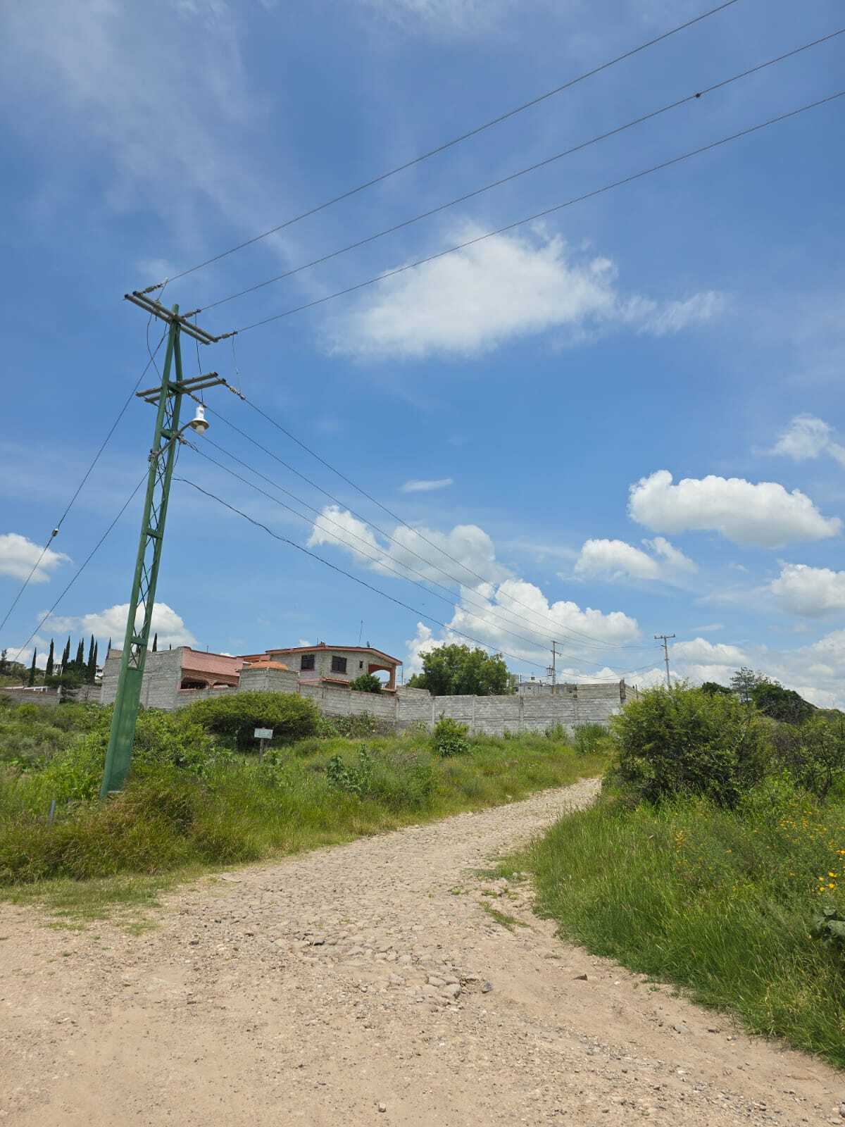 4 de 8