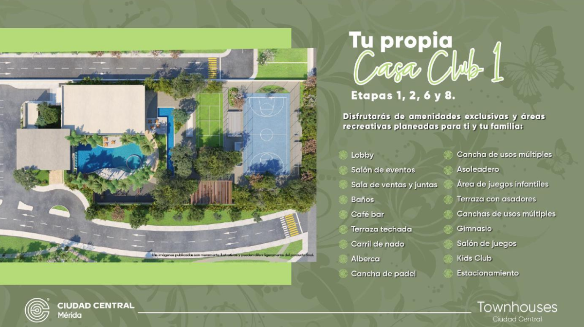 11 de 12