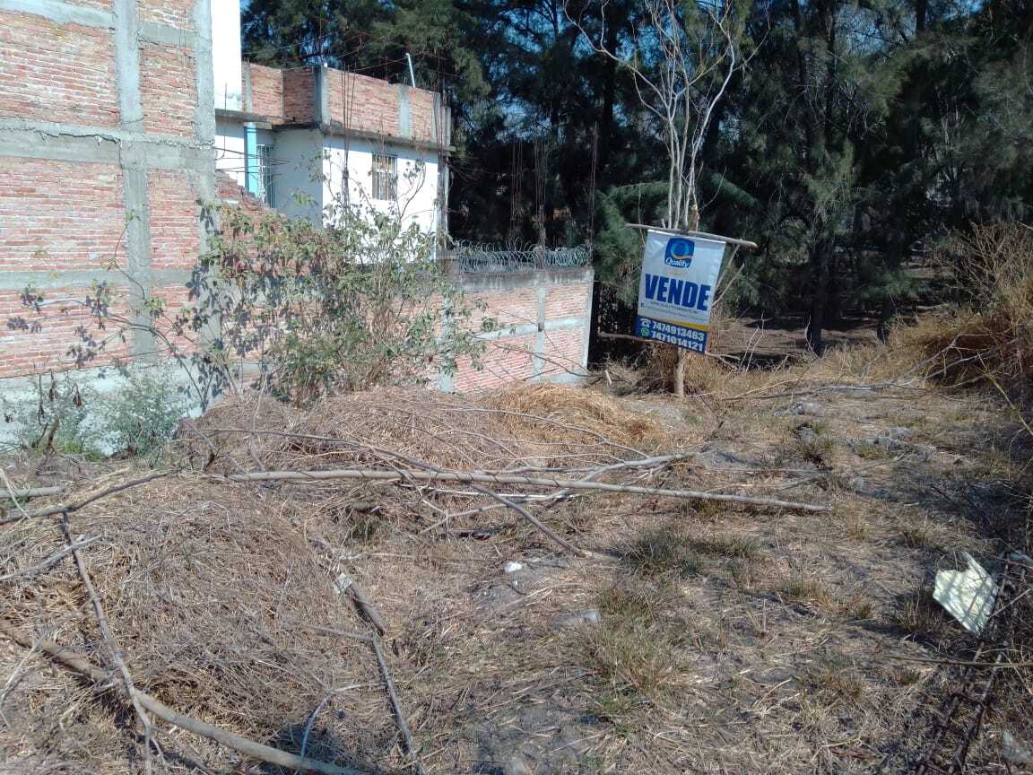 3 de 7