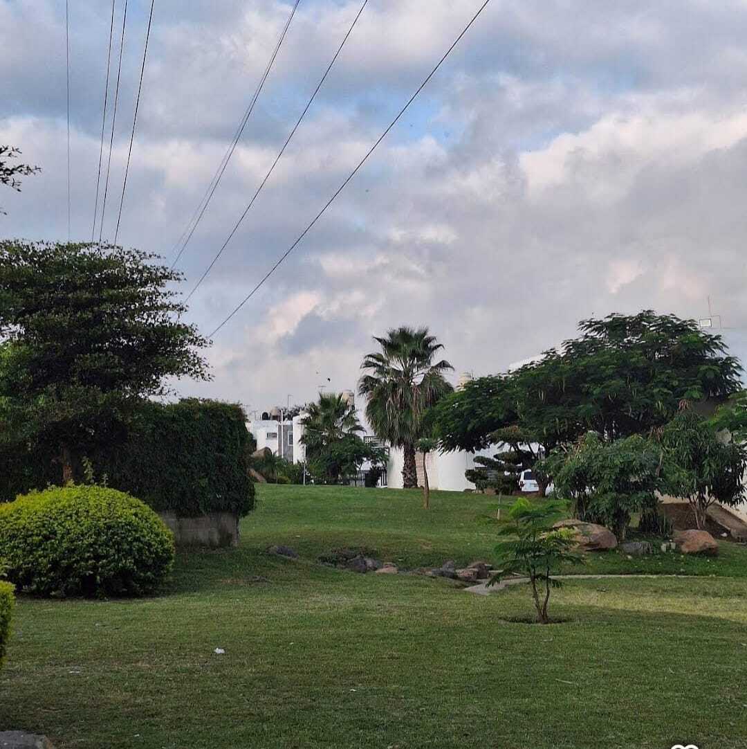 3 de 13