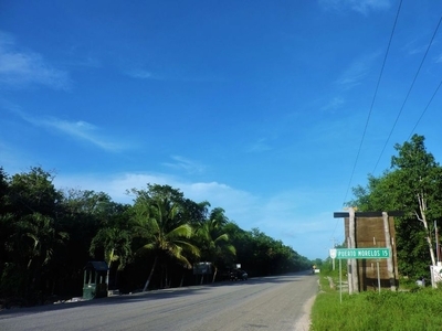 1 de 3