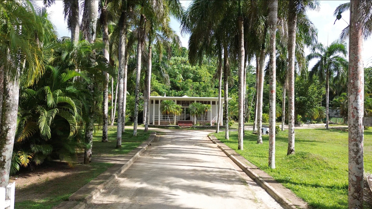 1 de 3