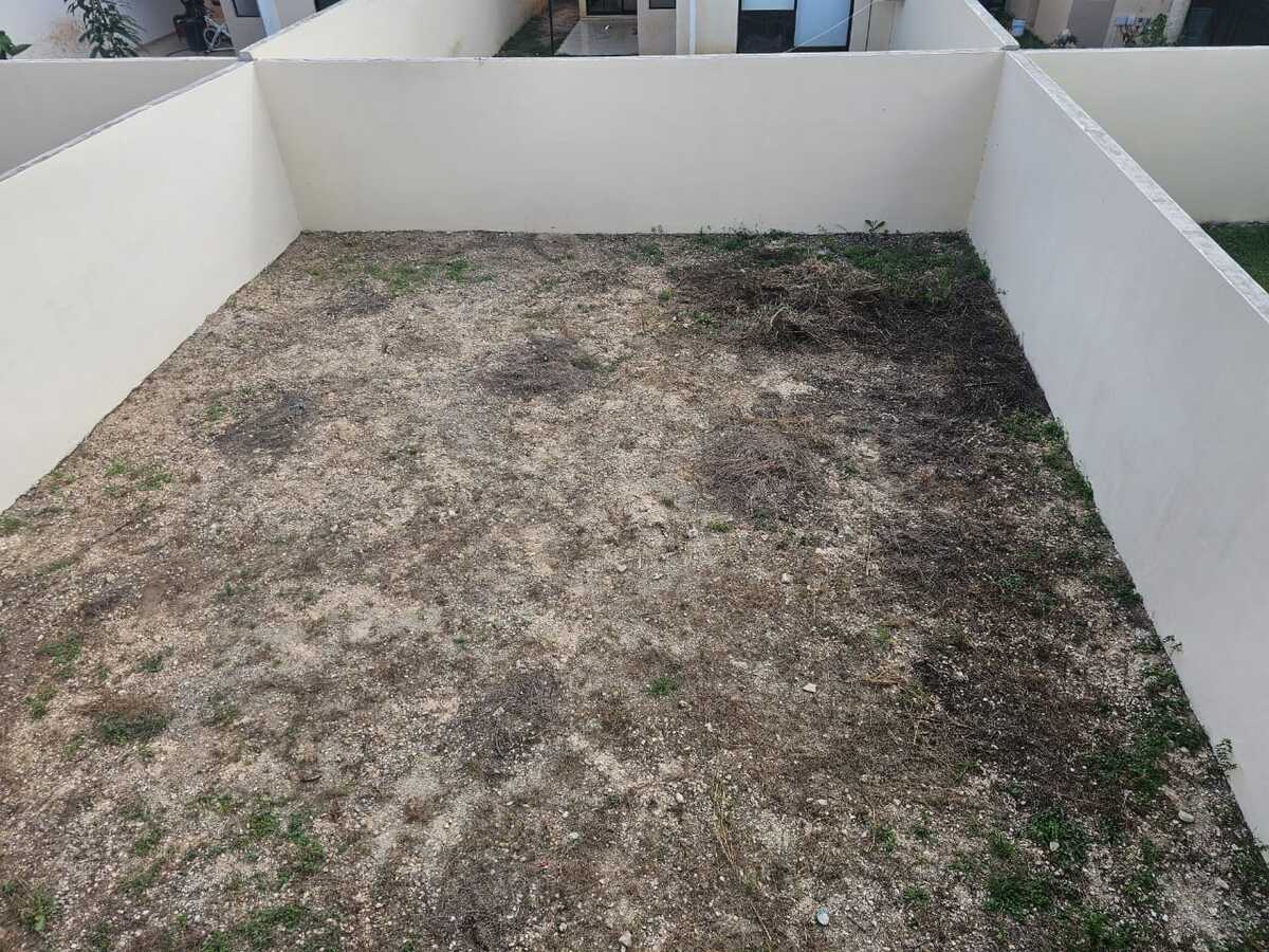 13 de 14