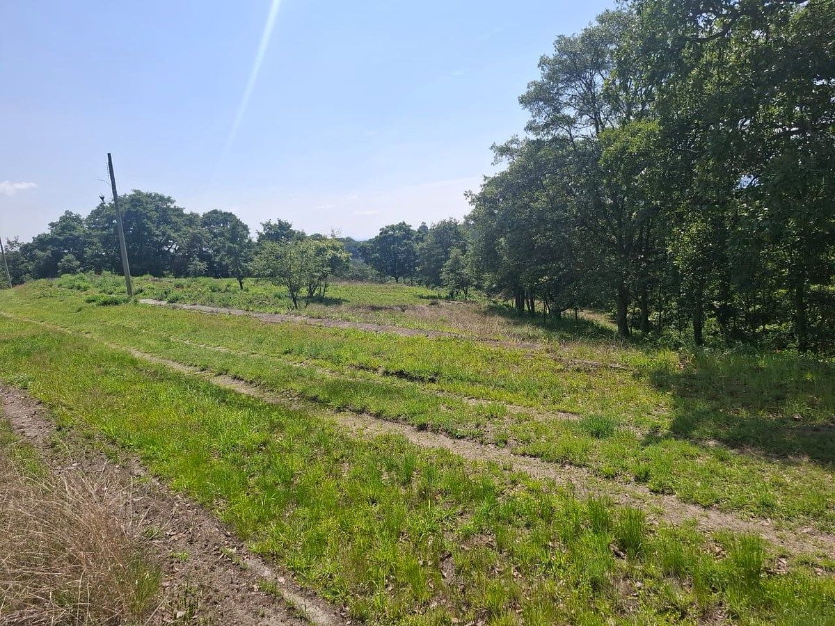 Lote em Villa del Carbón, Villa del Carbón, foto 3 de 14