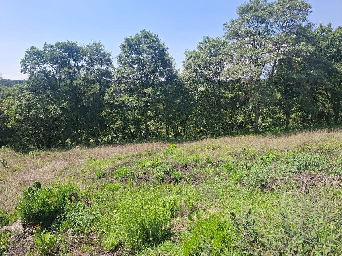 Lote em Villa del Carbón, Villa del Carbón, foto 6 de 14