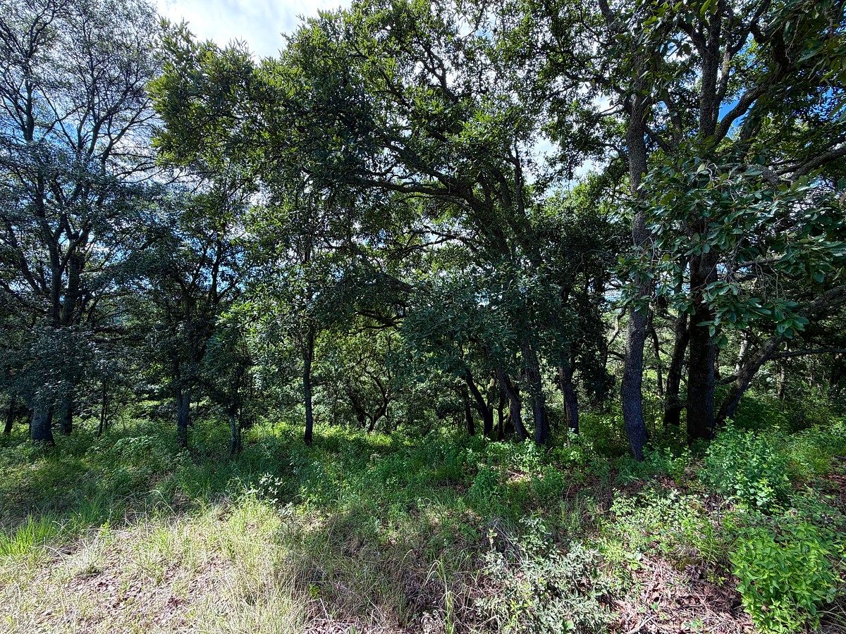 Lote em Villa del Carbón, Villa del Carbón, foto 12 de 14