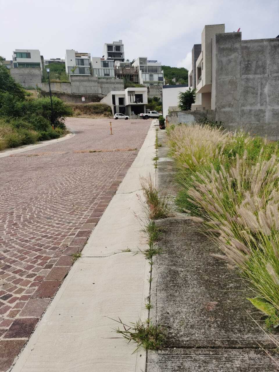 7 de 17