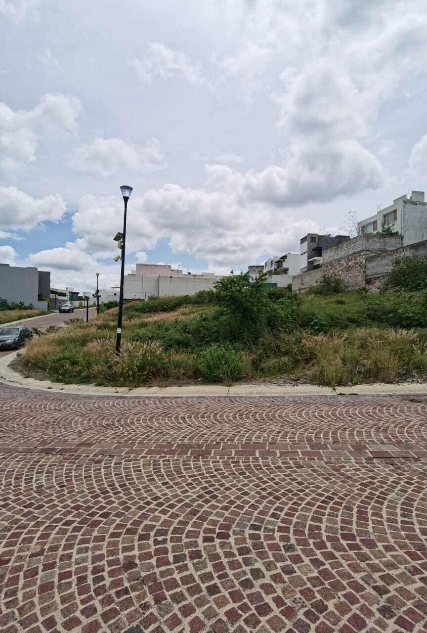 10 de 17