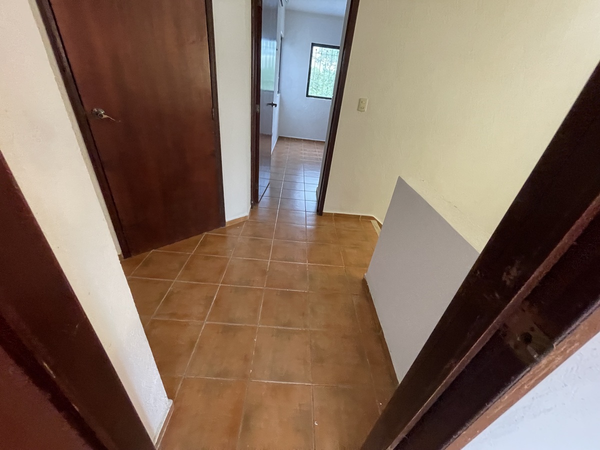 3 de 29