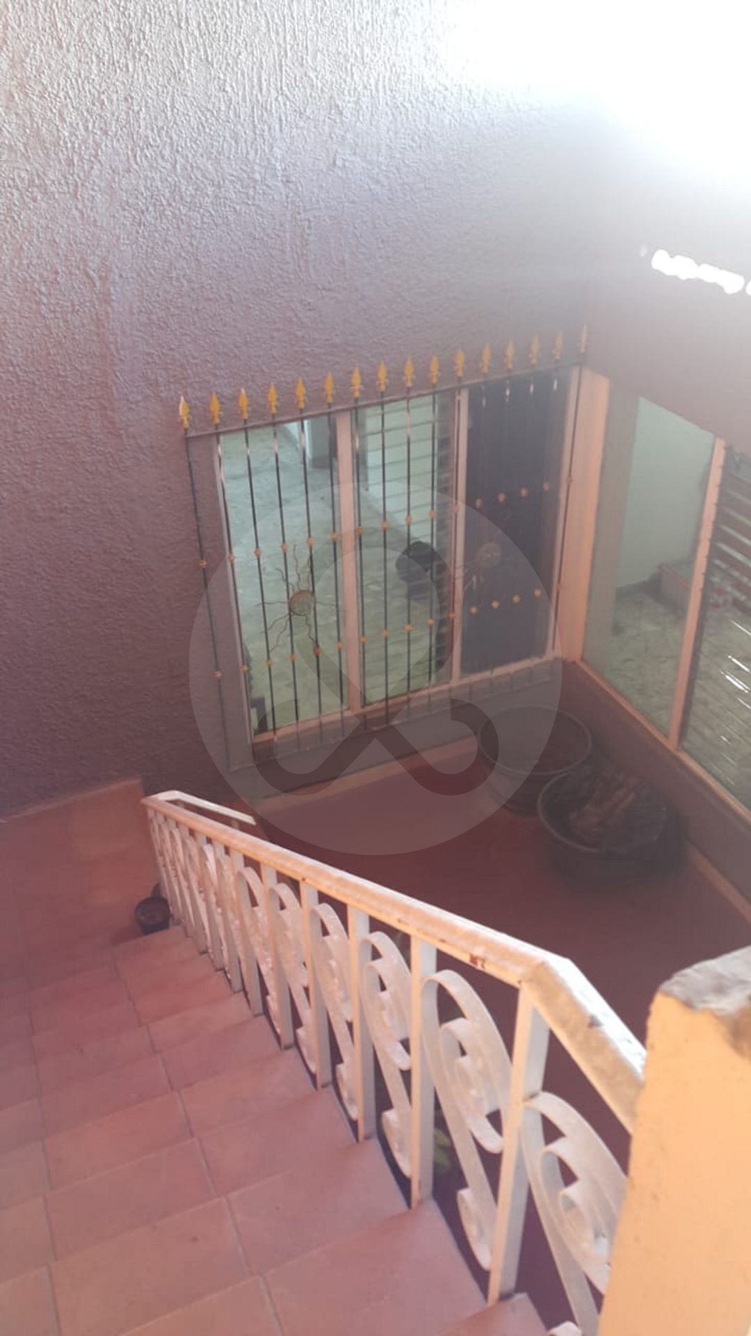 10 de 24