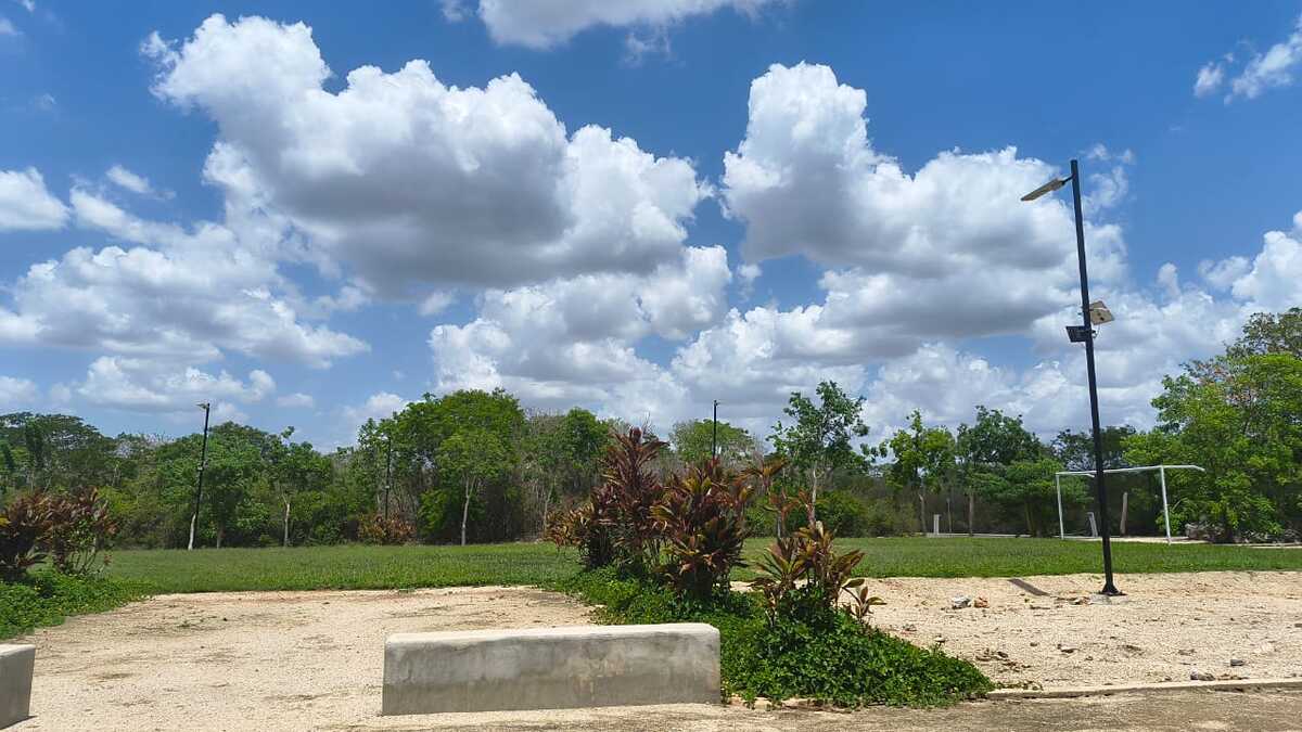 4 de 8