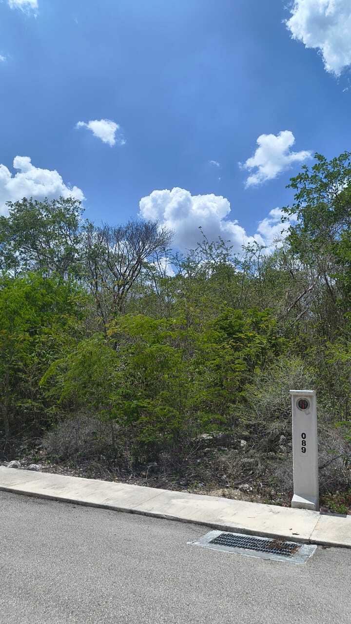3 de 8