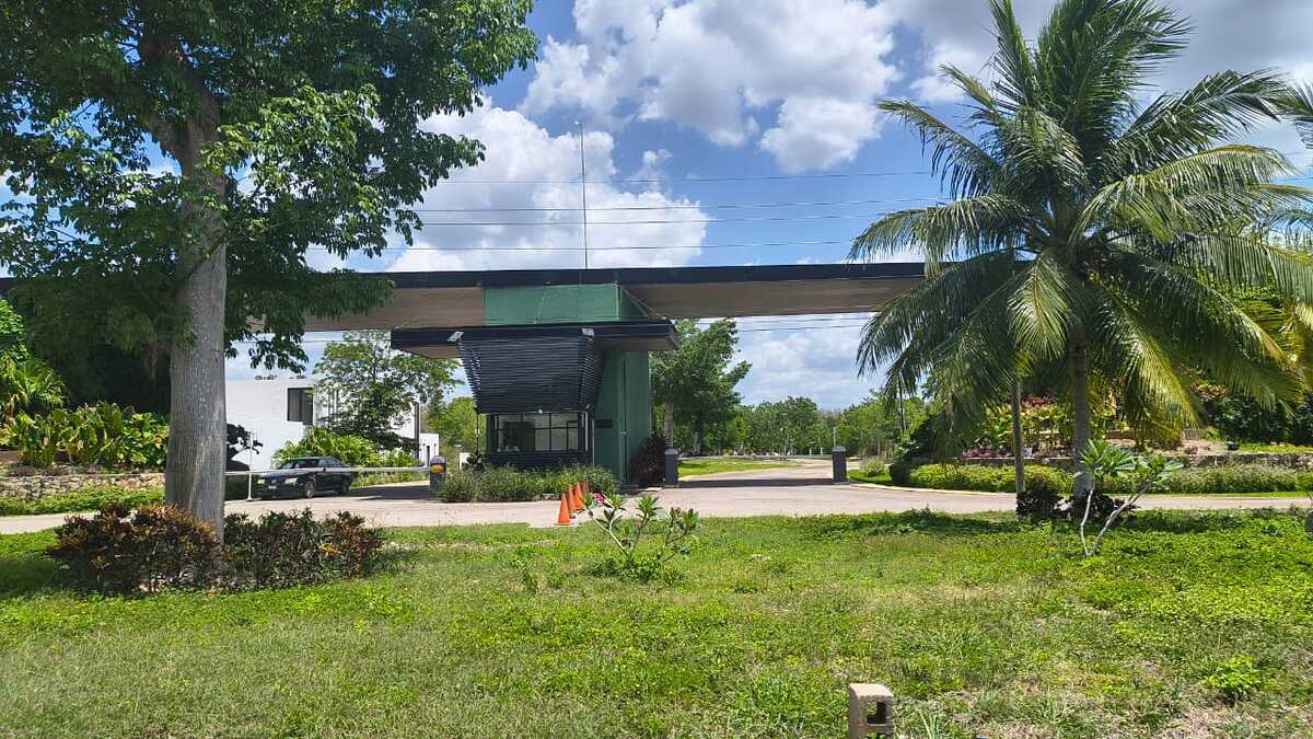 1 de 8