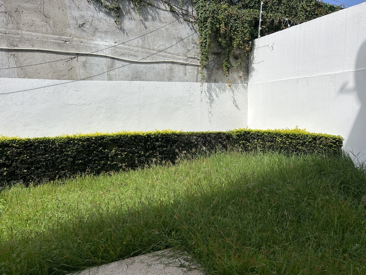 12 de 29