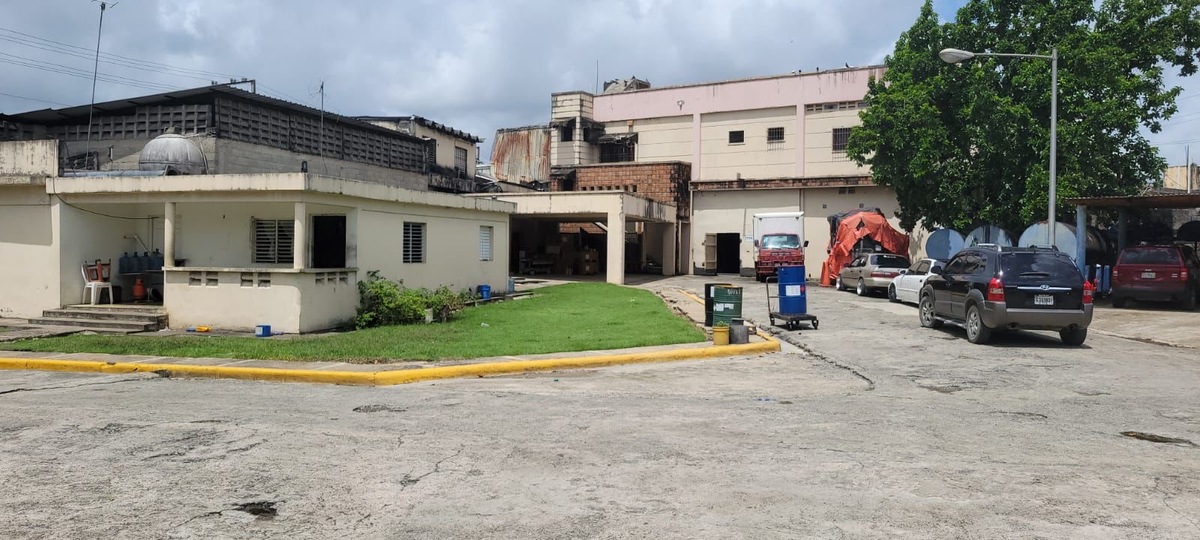 5 de 6