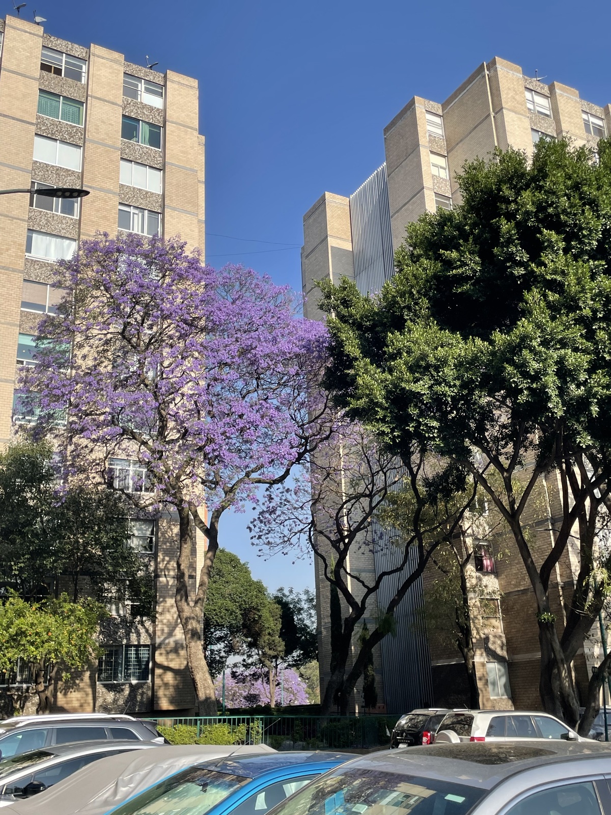 1 de 23
