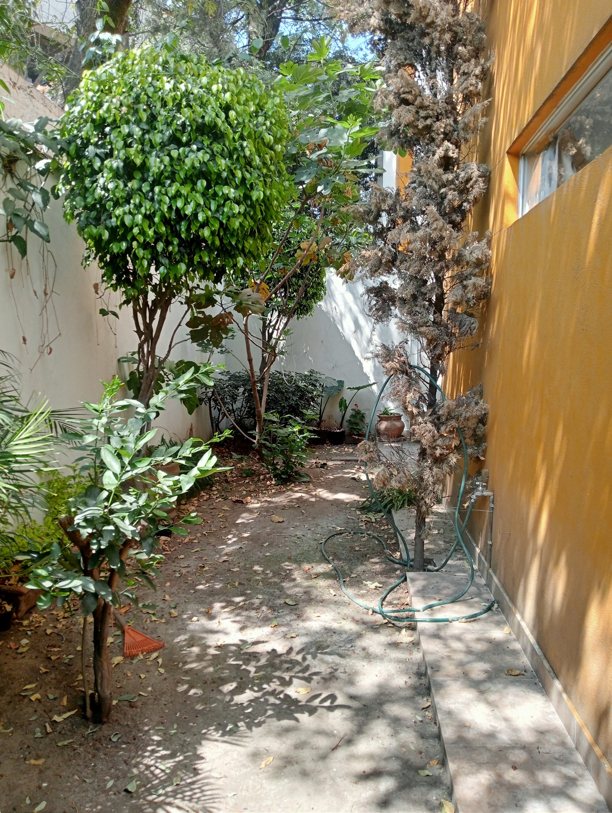7 of 9: Jardin