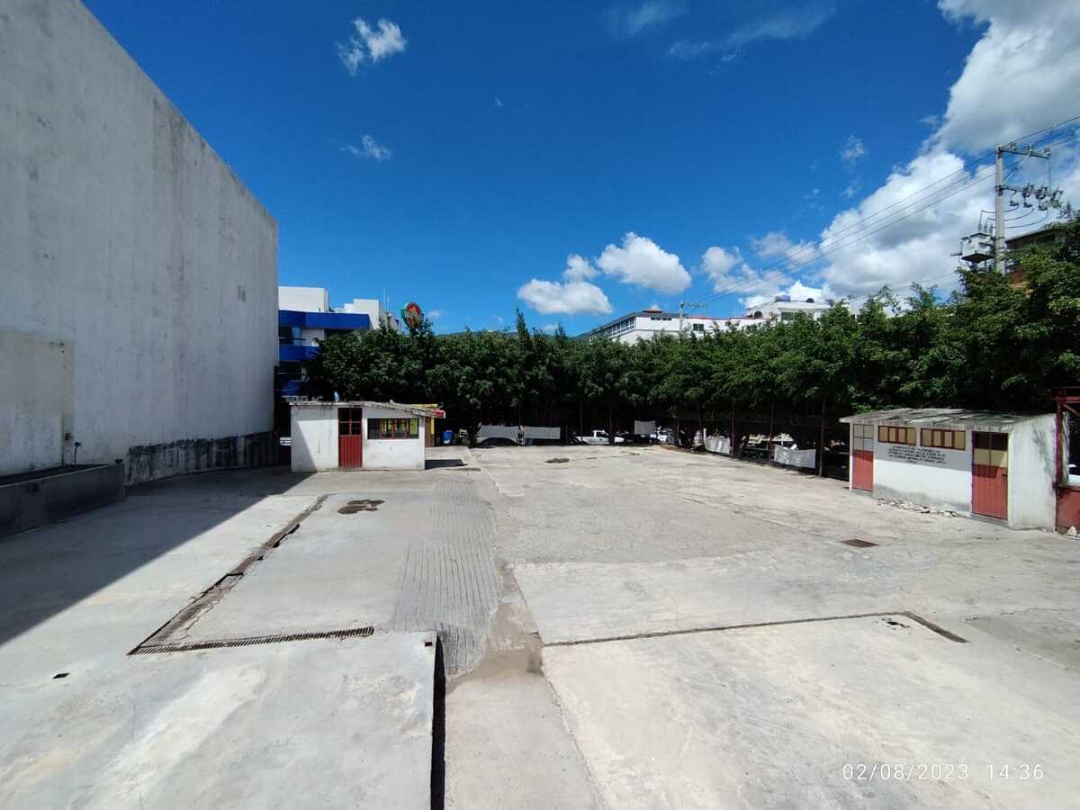 5 de 6