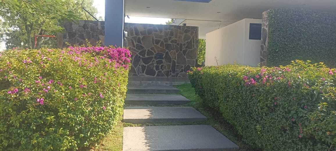 5 de 14