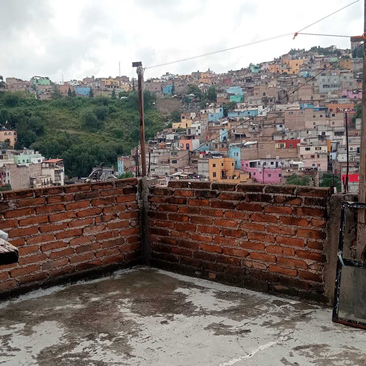 31 de 32