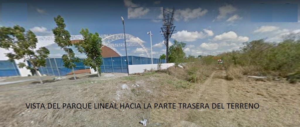 1 de 15