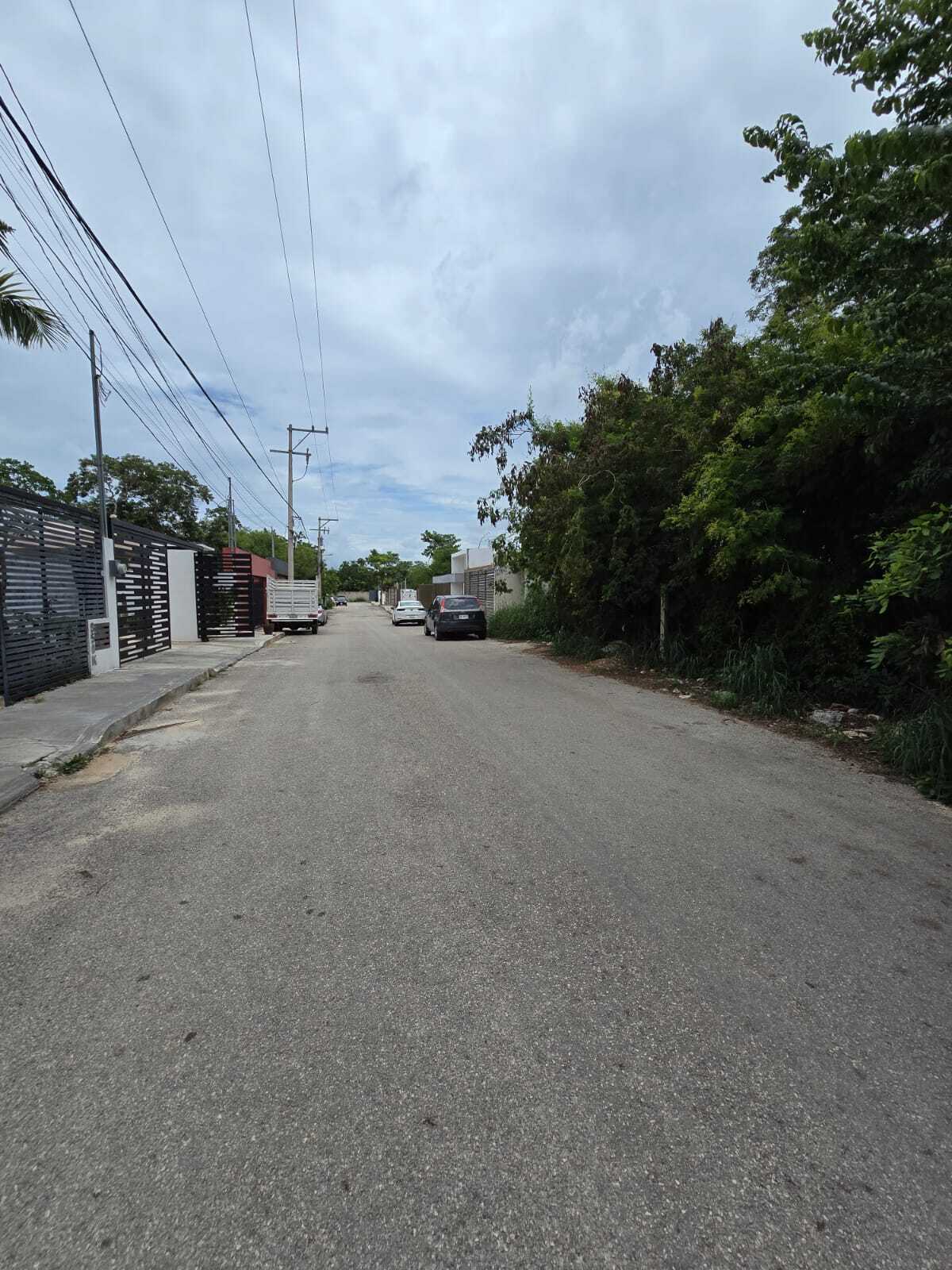 4 de 6