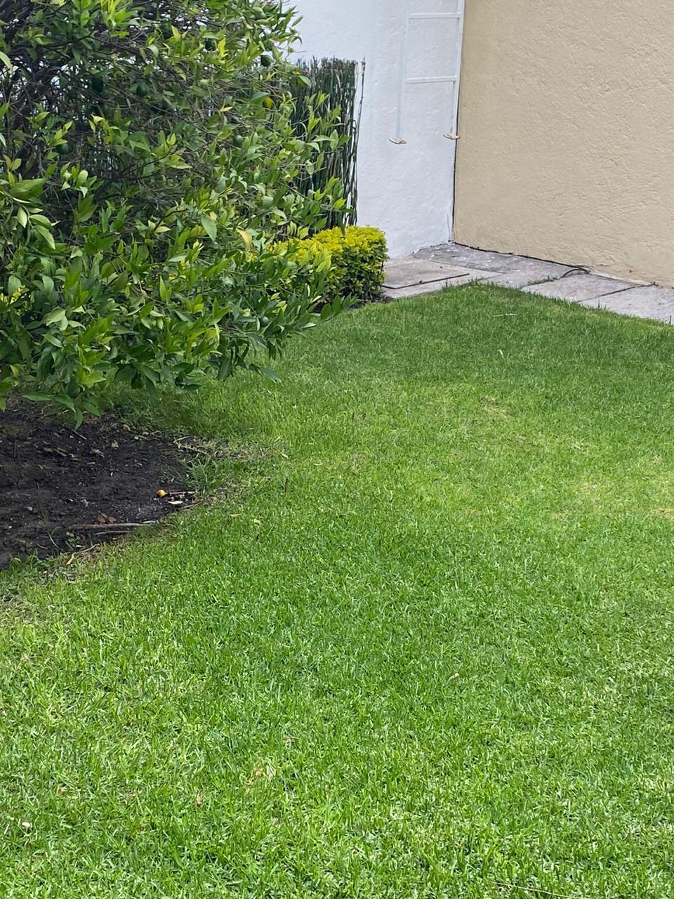 20 de 40