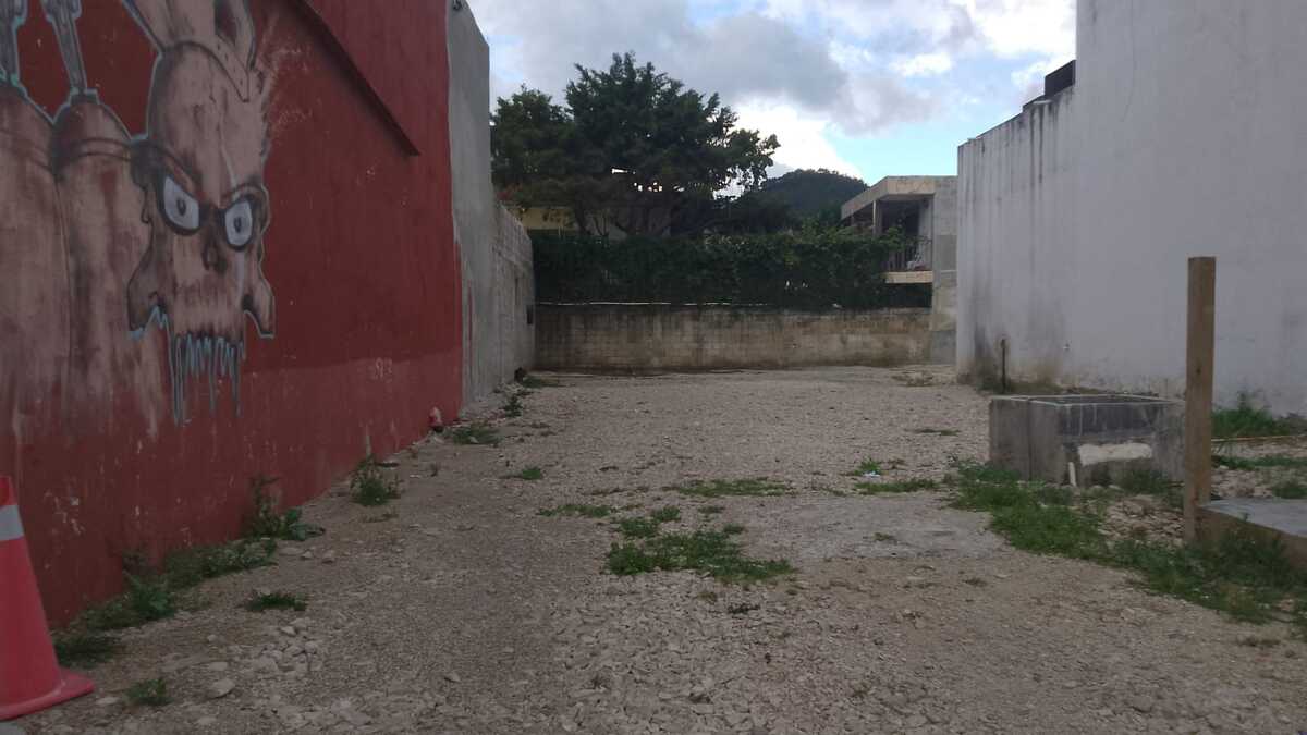 4 de 5