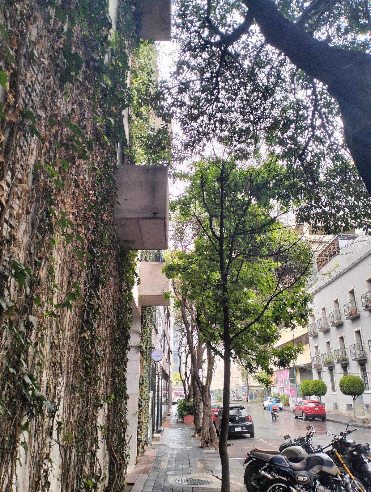 3 de 24