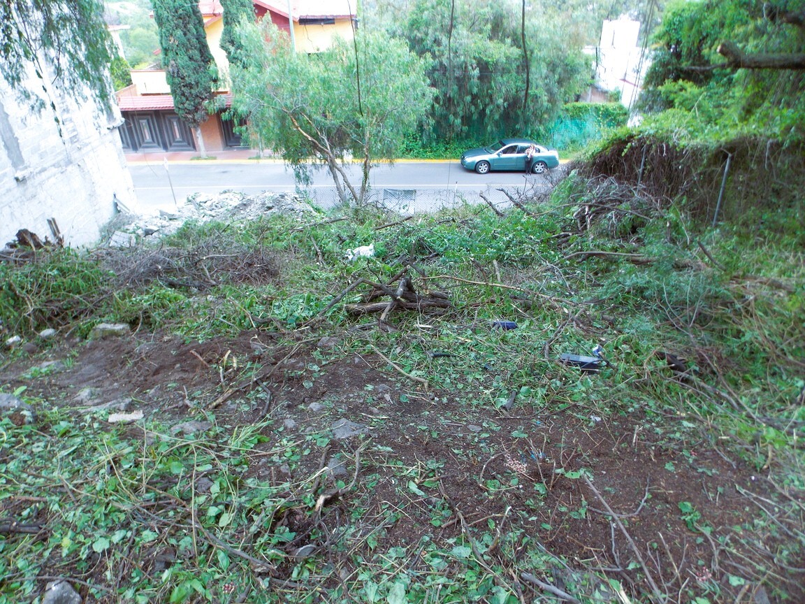 3 de 10