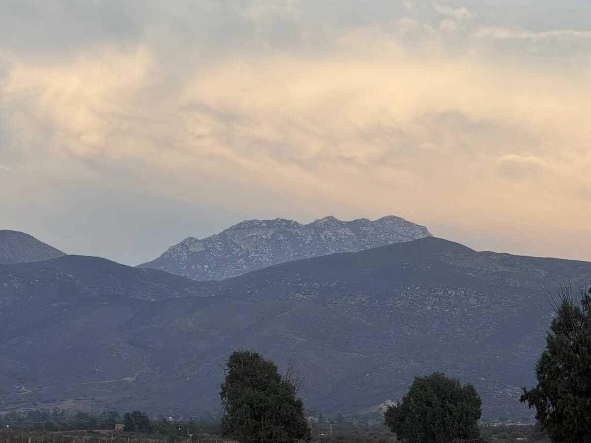 4 de 8