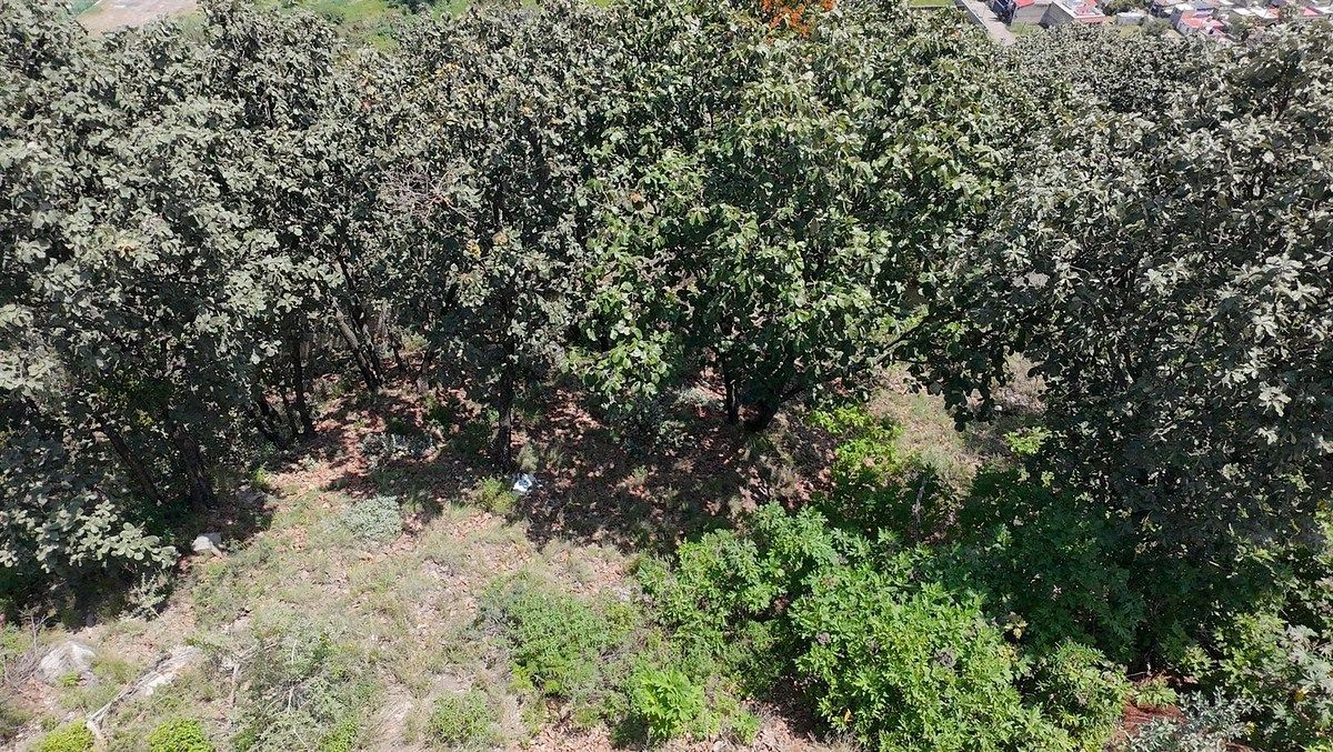 Lote em Bugambilias, Zapopan, foto 3 de 14