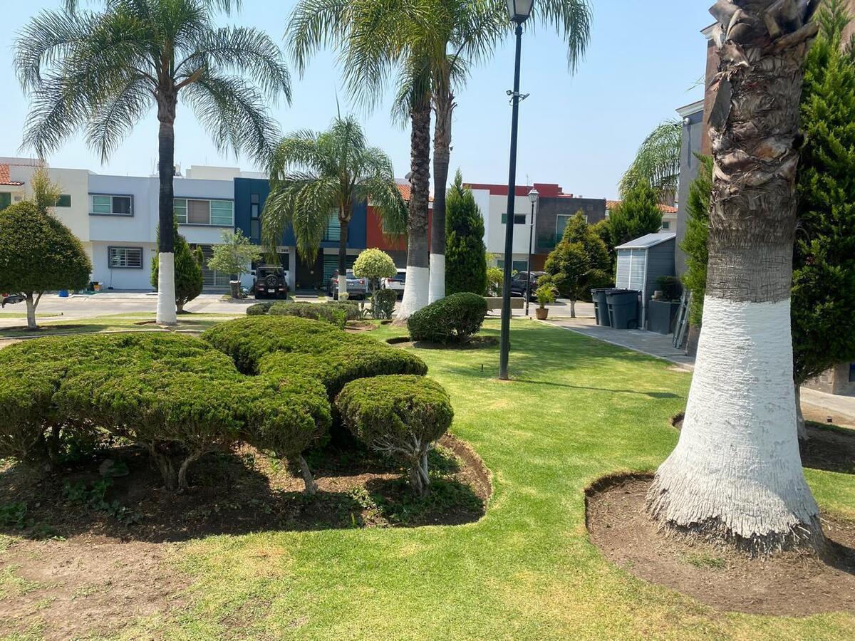 36 de 38