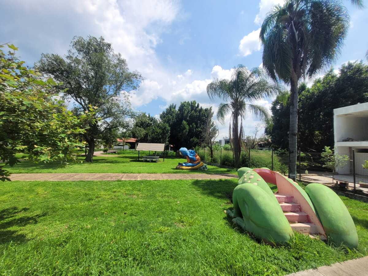3 de 6