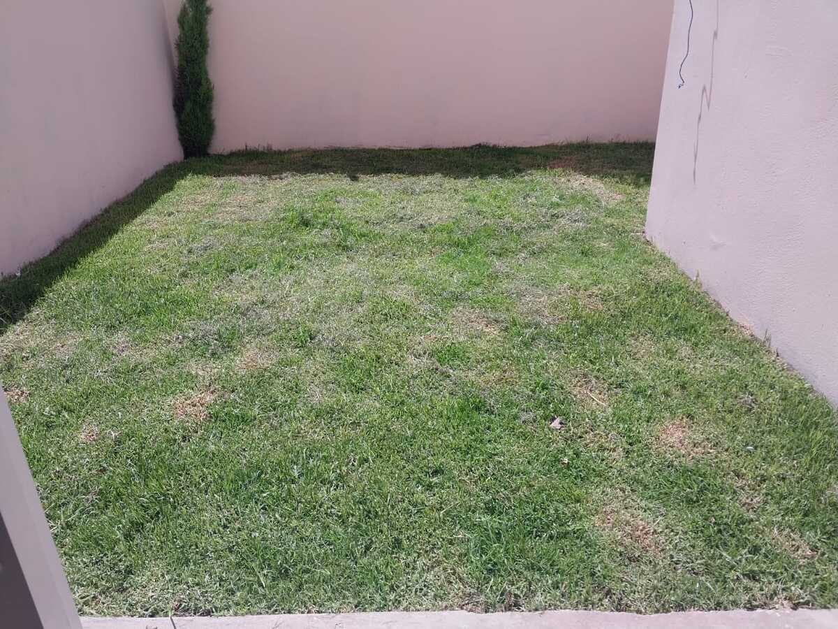 5 de 26