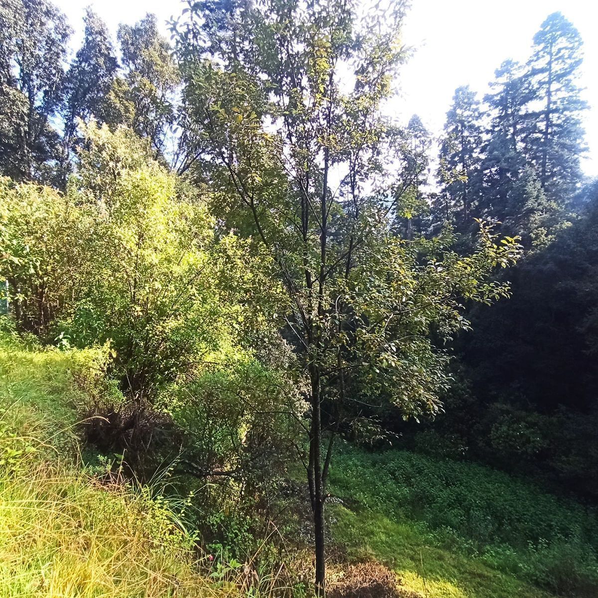4 de 6