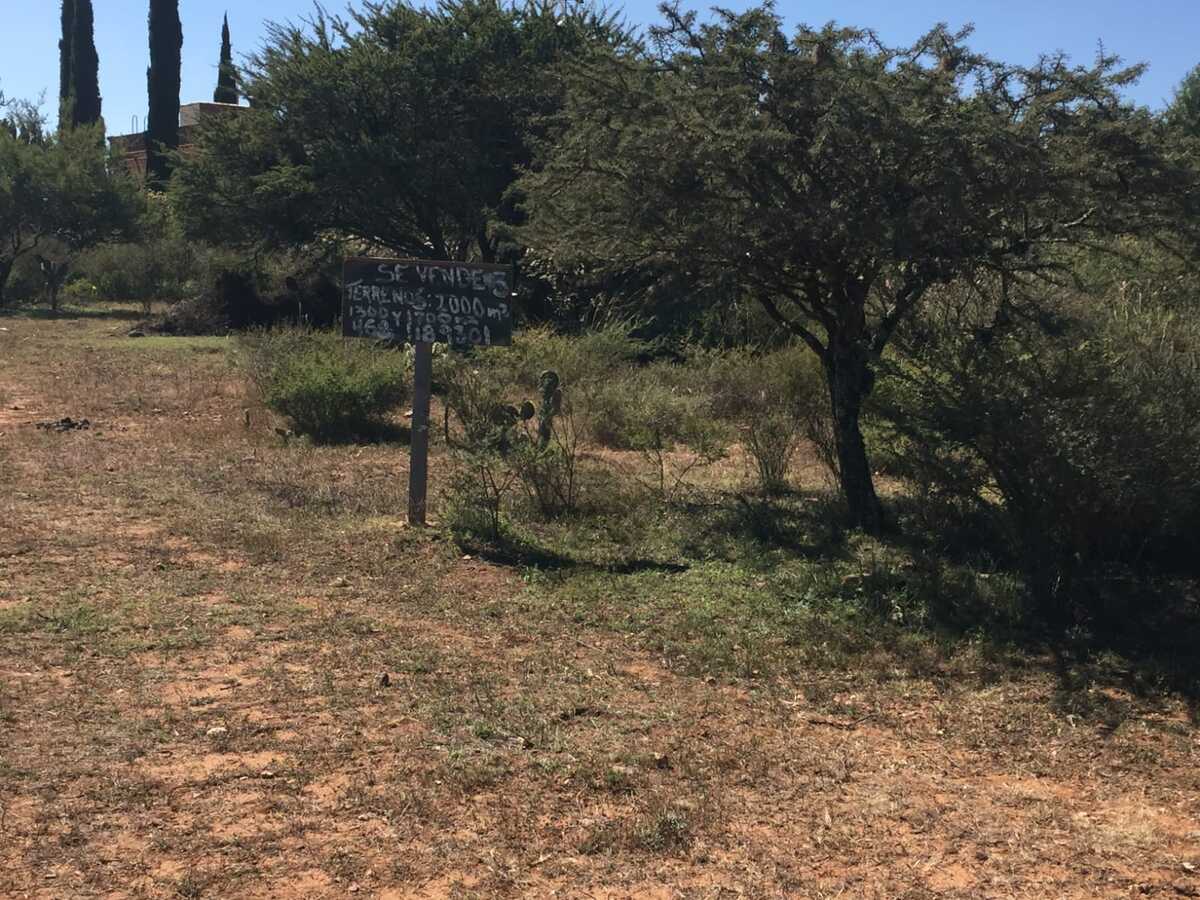 9 de 18