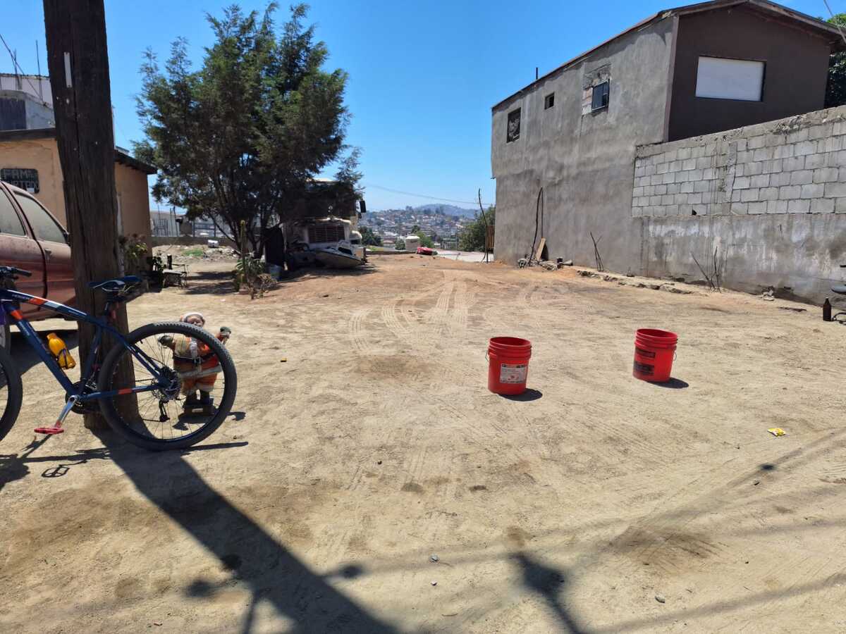 3 de 6