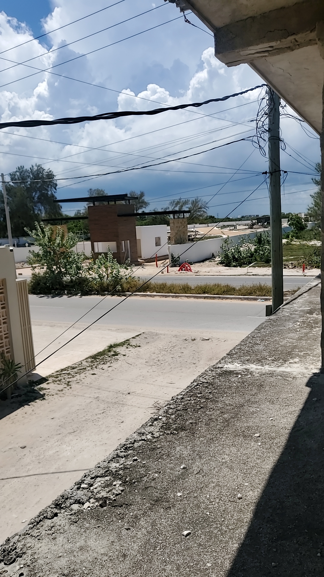 29 de 36