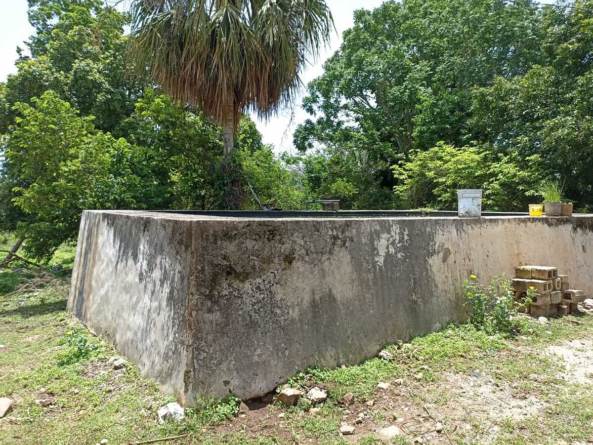 24 de 39
