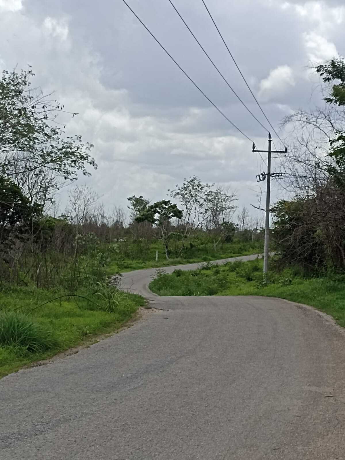 25 de 39
