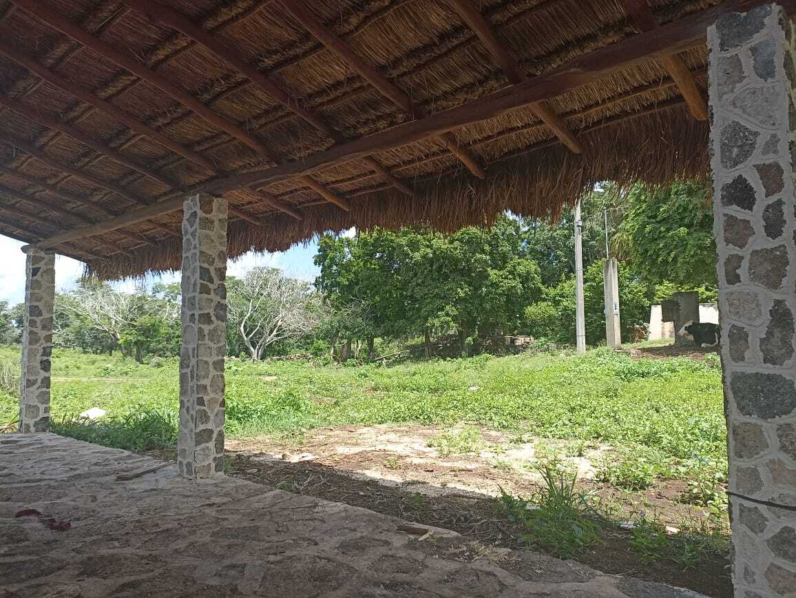 31 de 39